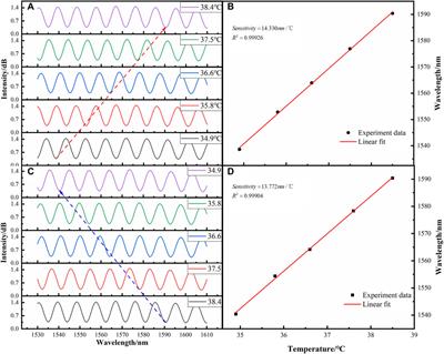Fabry-perot interferometers with resin scaffolders for high sensitivity temperature sensing
